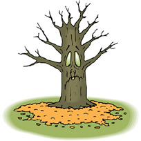 tree10