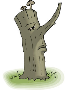 tree7