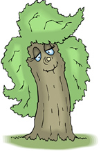 tree8