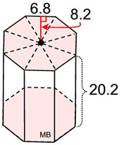 prismOctLabeled